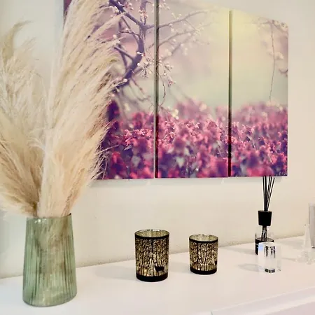Vivian's Cozy Nei Apartman *